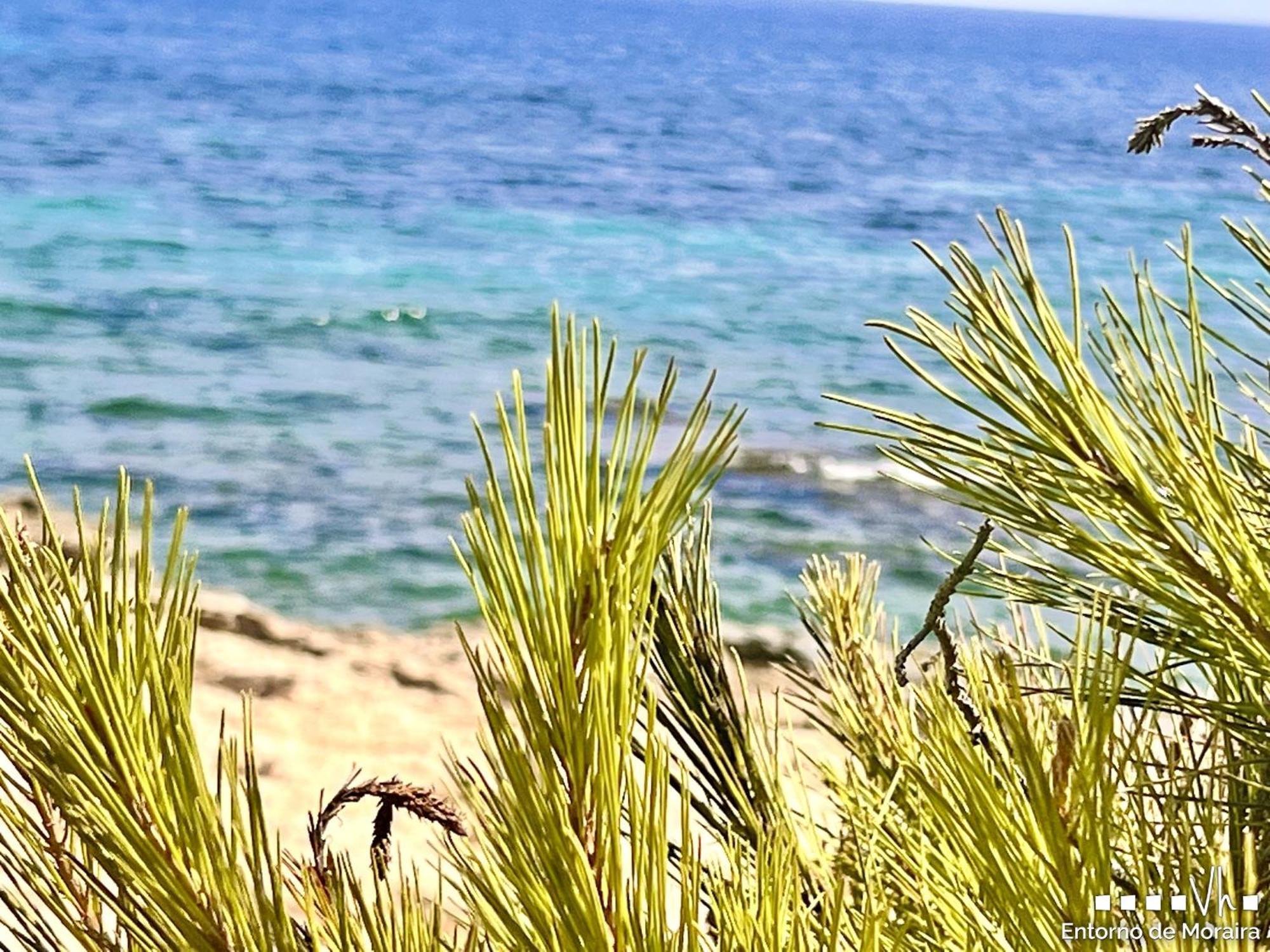 Vh Costablanca - Merlin Benissa Extérieur photo